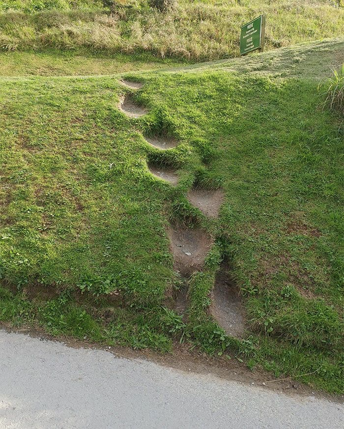 DESIRE PATHS