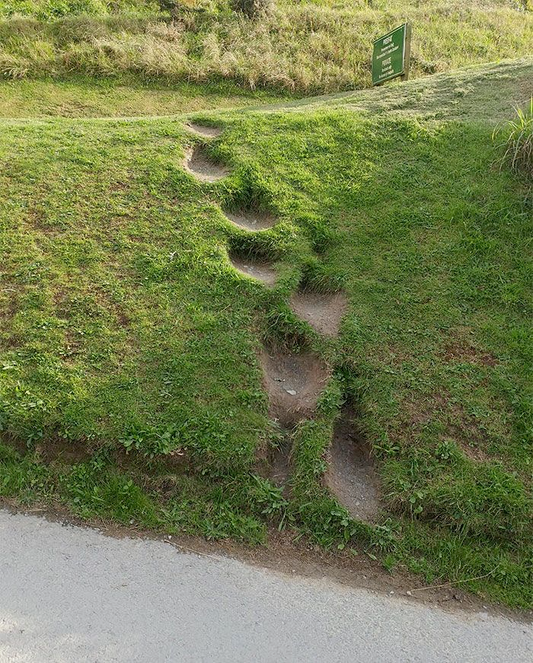 DESIRE PATHS