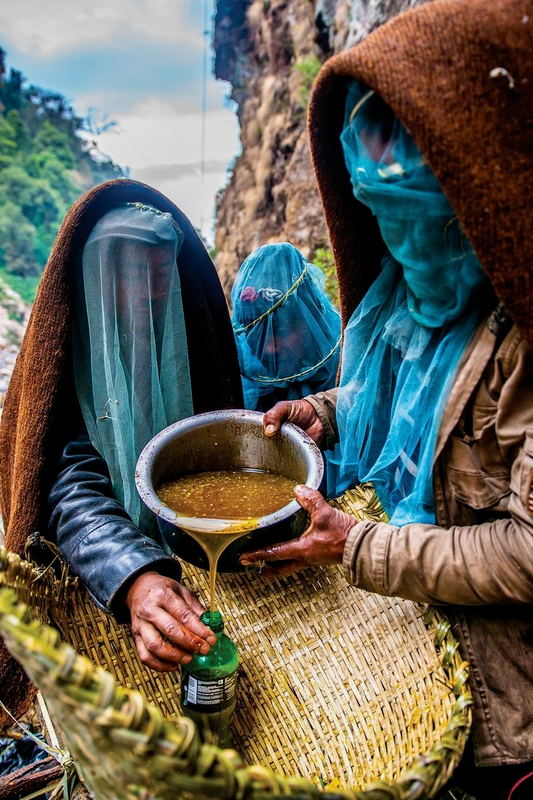 THE ART OF HALLUCINOGENIC HONEY HUNTING IN NEPAL